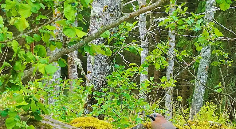 Holiday home in Falköping Ö