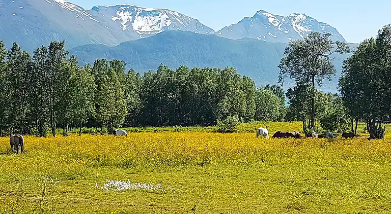 Semesterbostad i Kraksletta