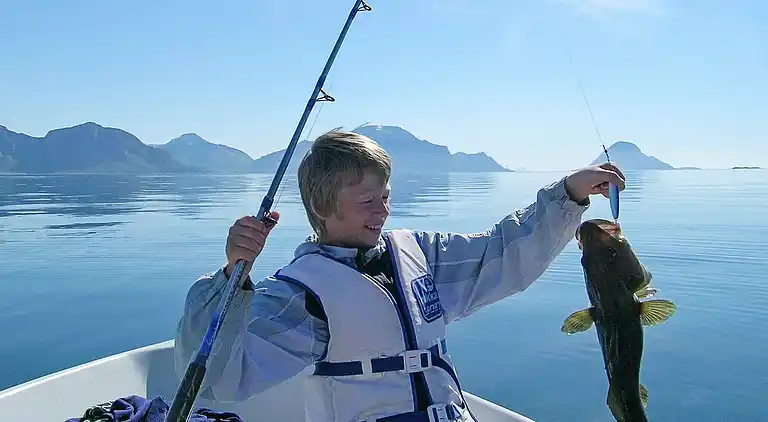 Holiday home in Ballstad