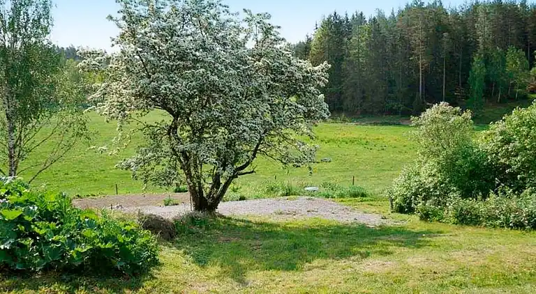 Sommerhus i Valdemarsvik V