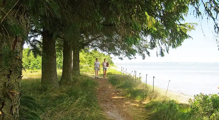 Sommerhus i Højslev