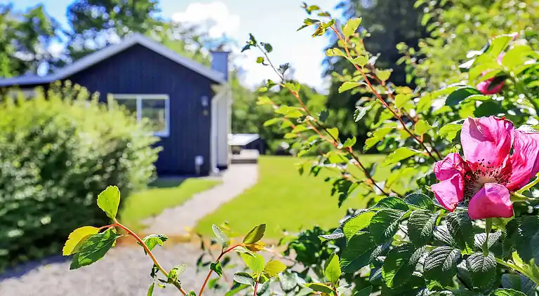 Semesterbostad i Nibe