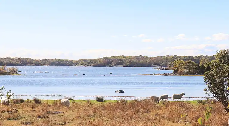Sommerhus i Karlskrona S