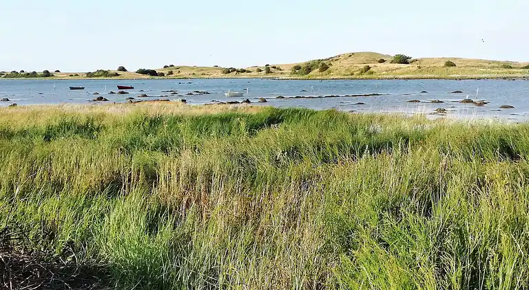 Casa vacanze in Martofte