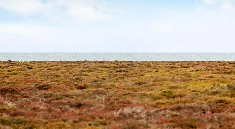Sommerhus i Østerby Havn