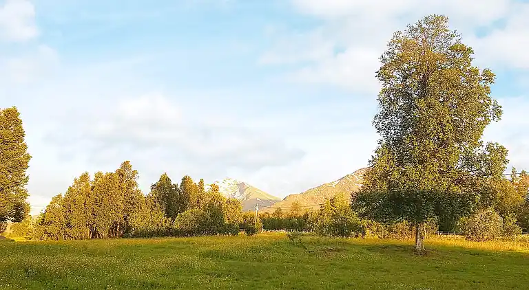 Semesterbostad i Kraksletta