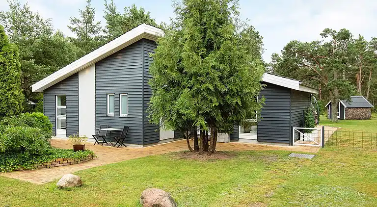 Sommerhus i Ellinge Lyng