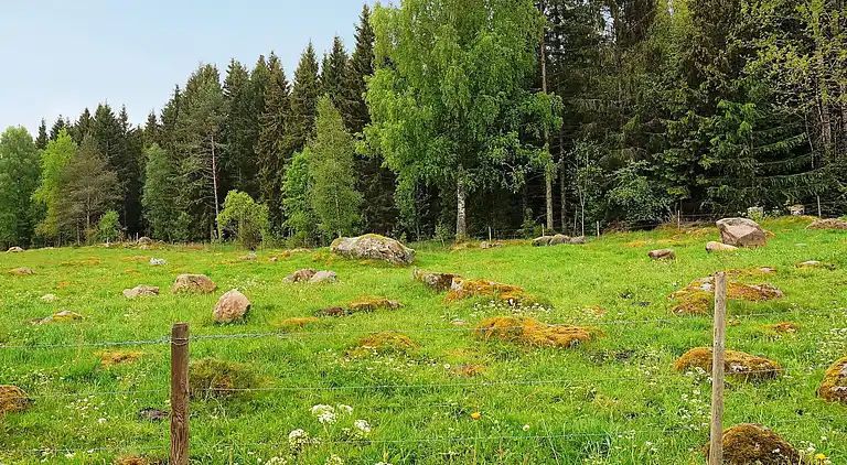 Holiday home in Falköping Ö