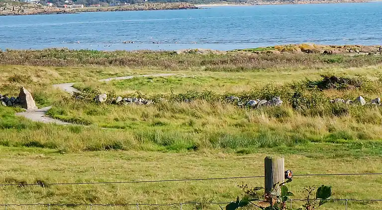 Sommerhus i Falkenberg S