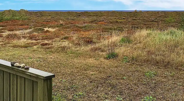 Sommerhus i Østerby Havn