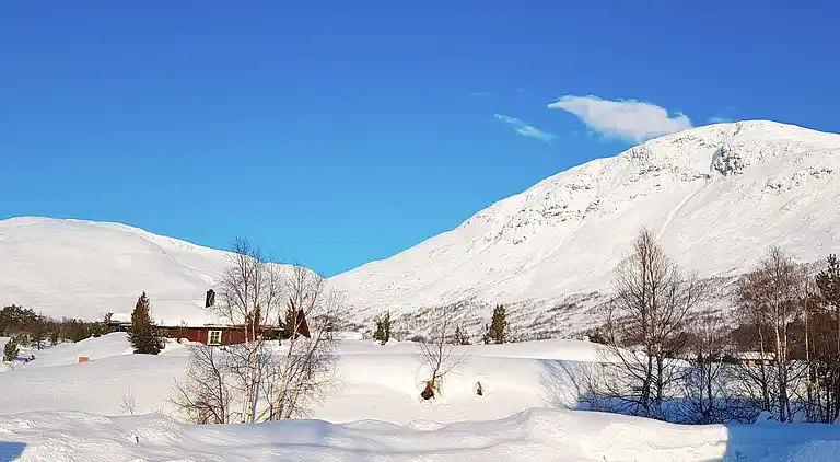 Holiday home in Stryn