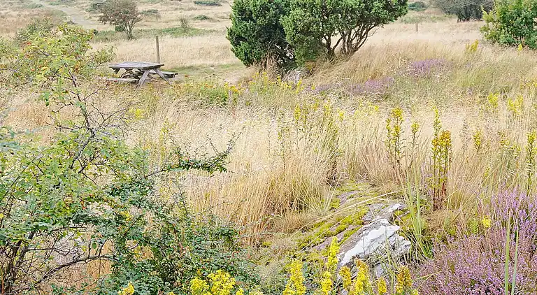 Sommerhus i Falkenberg S