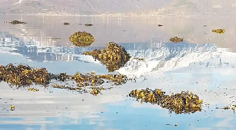 Semesterbostad i Kraksletta