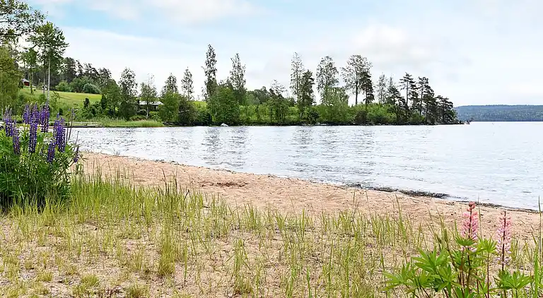 Sommerhus i Breviken