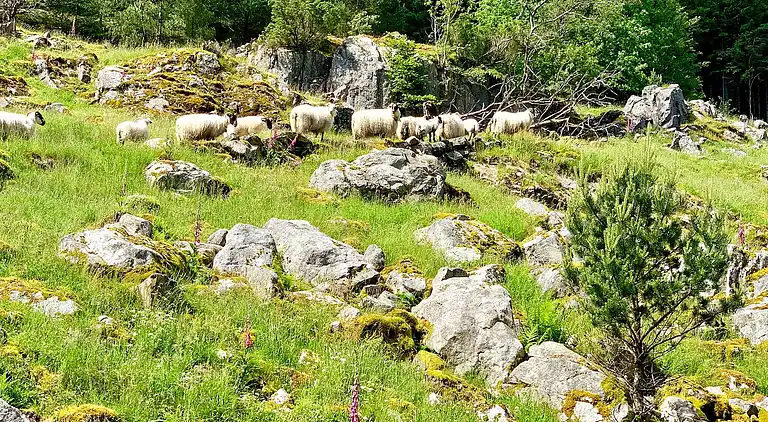 Holiday home in Sveio