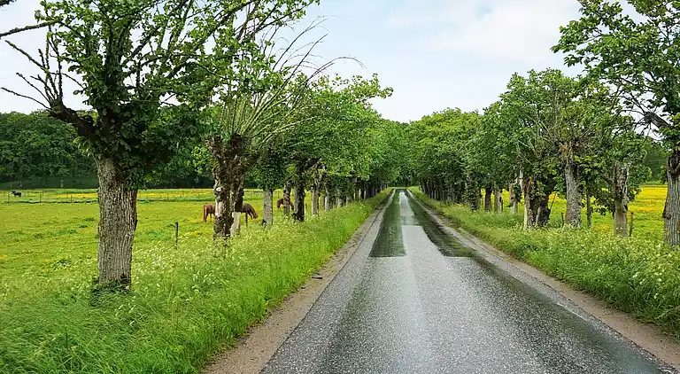 Sommerhus i Kungälv C