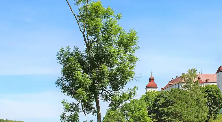 Holiday home in Skaven