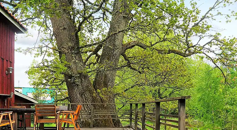 Holiday home in Falköping Ö