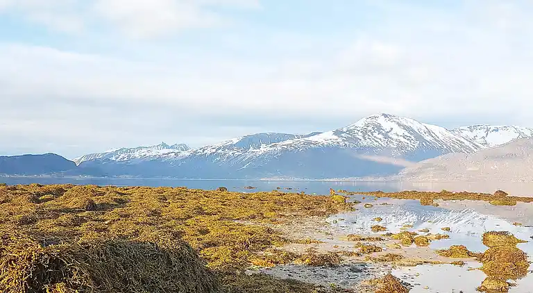 Semesterbostad i Kraksletta