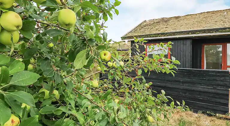 Sommerhus i Houstrup