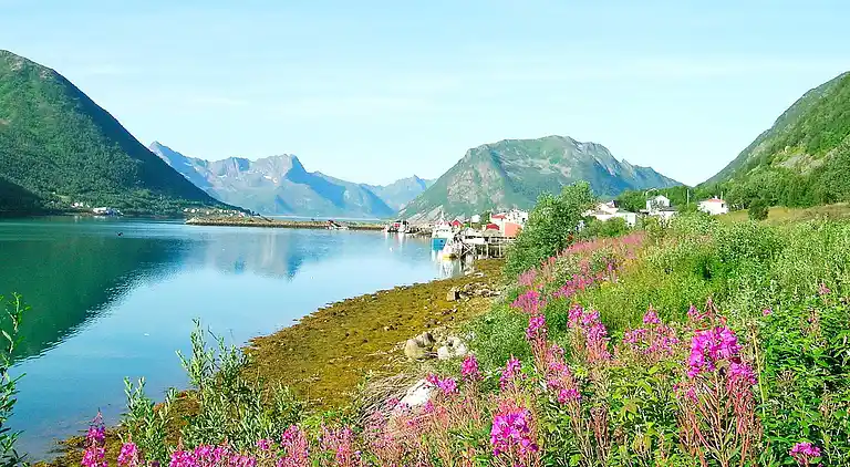Holiday home in Sifjord