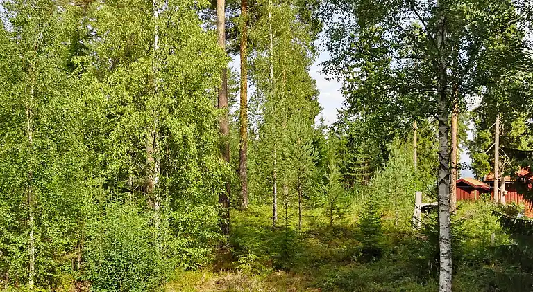 Vakantiehuis in Rättvik V