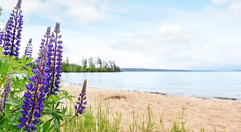 Sommerhus i Breviken