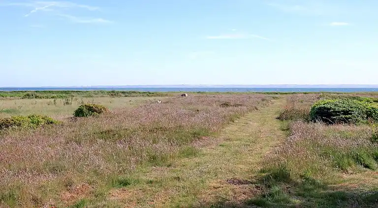 Sommerhus i Hurup Thy