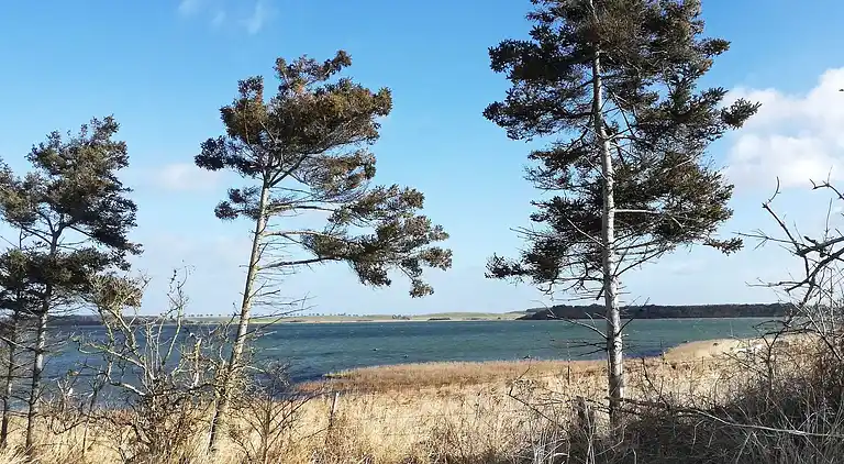 Casa vacanze in Martofte