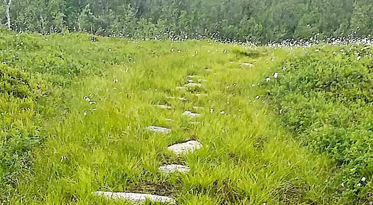 Semesterbostad i Kraksletta