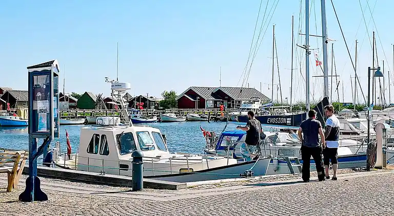 Holiday home in Ringkobing