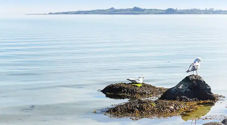 Sommerhus i Aabenraa