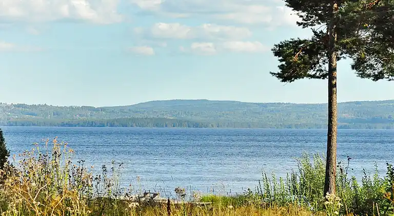 Vakantiehuis in Rättvik V