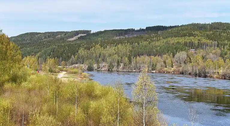 Sommerhus i Torsby N