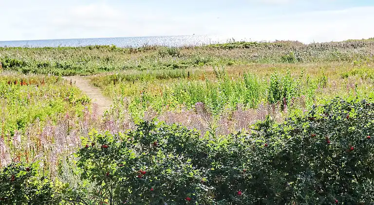 Vakantiehuis in Øster Hurup