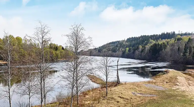 Sommerhus i Torsby N