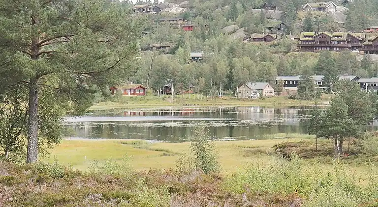 Holiday home in Åseral Municipality