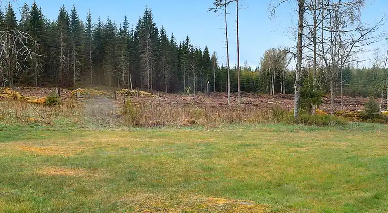 Holiday home in Högsby NV