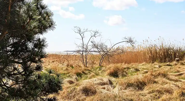 Sommerhus på Læsø