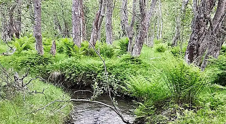 Semesterbostad i Kraksletta