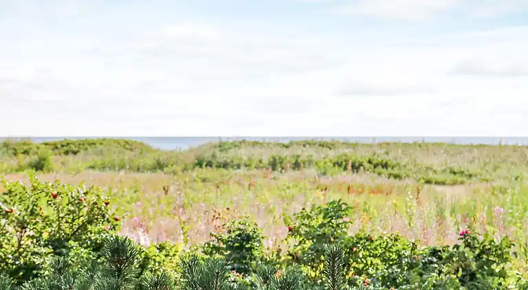 Vakantiehuis in Øster Hurup