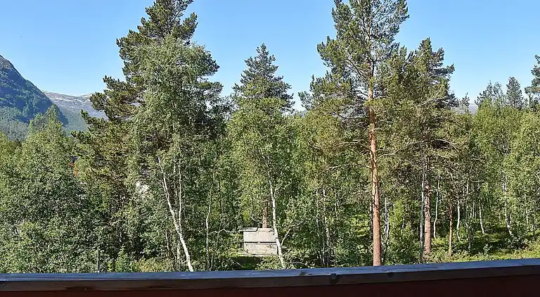 Holiday home in Bjorli