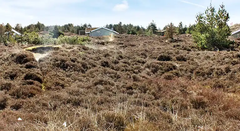 Maison de vacances en Bolilmark
