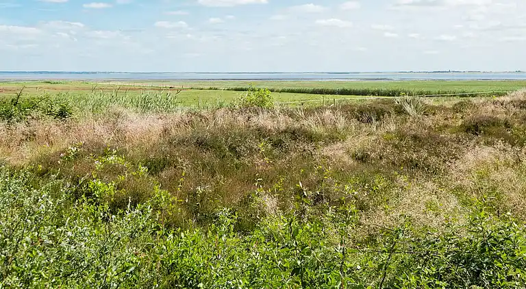 Vakantiehuis in Havneby