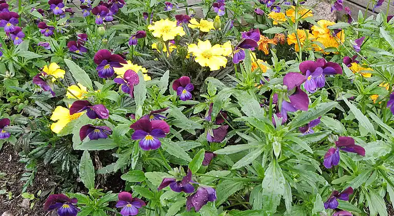 Vakantiehuis in Gullspång