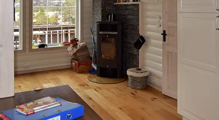 Holiday home in Åseral Municipality