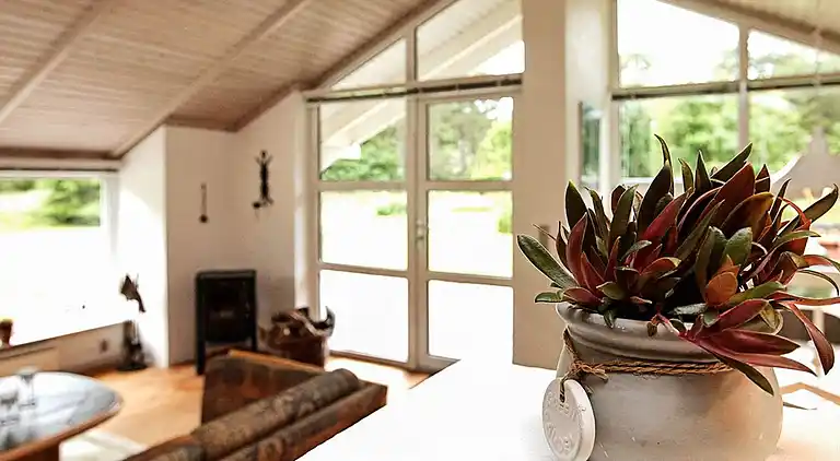 Casa vacanze in Læsø