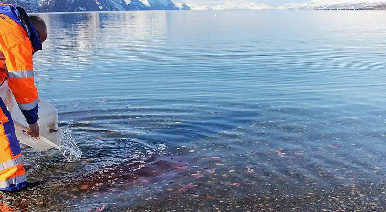 Holiday home in Kopang