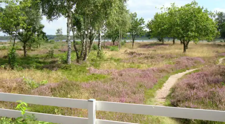 Holiday home in Højslev
