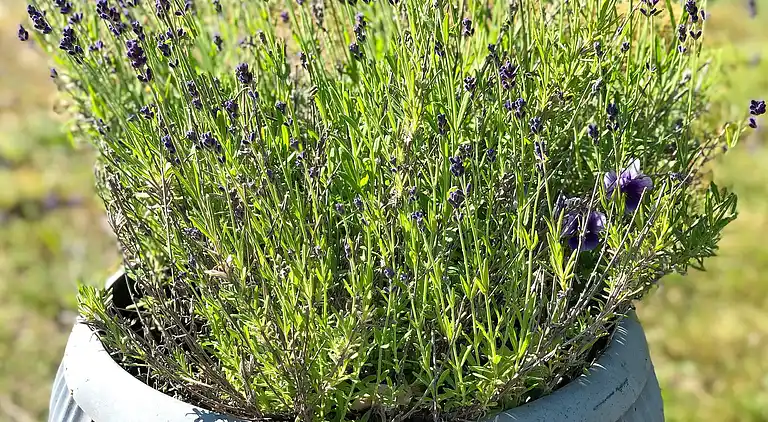 Holiday home in Ronneby NV